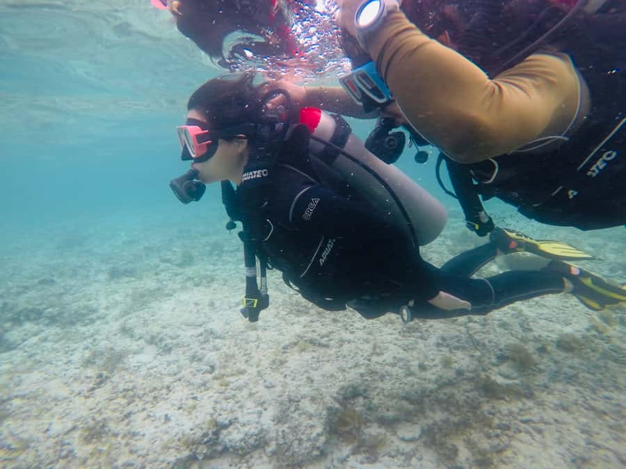 From Cebu City: Scuba Diving with Whale Sharks Trip in Oslob - Communication and the pace of the day