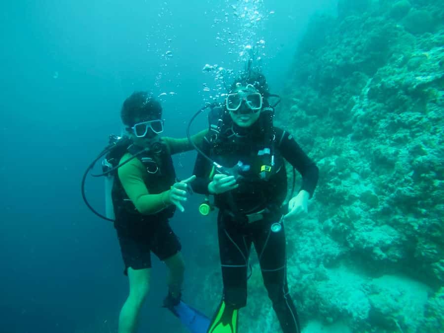 From Cebu City: Scuba Diving with Whale Sharks Trip in Oslob - Should you book the Oslob whale shark trip?