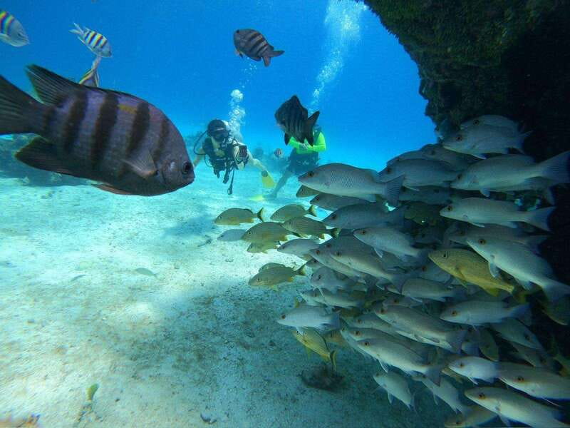 From Cozumel: Chankanaab Cozumel Scuba Diving - What the Chankanaab Scuba Experience Is Really Like