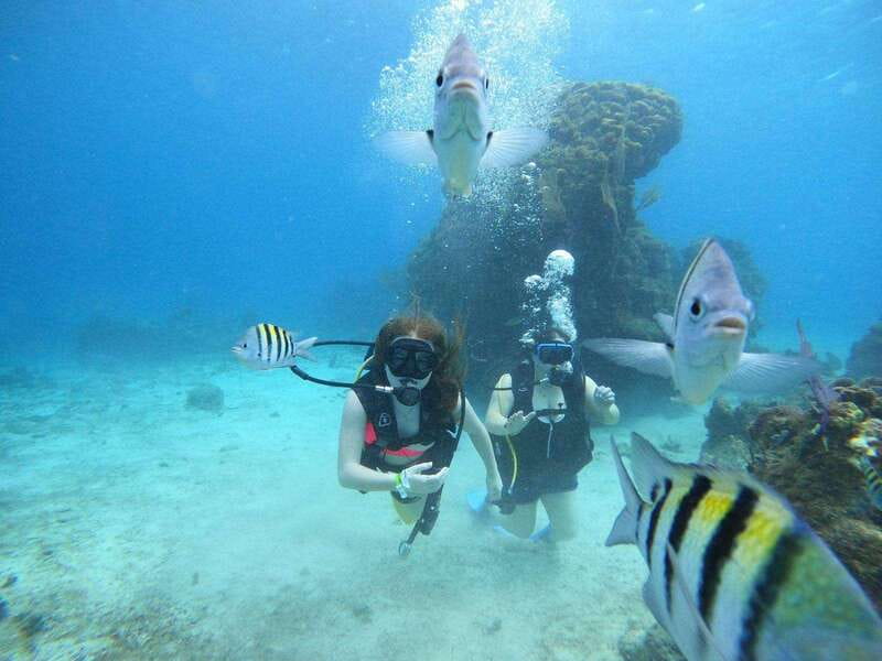 From Cozumel: Chankanaab Cozumel Scuba Diving - Who Will Enjoy This Most?