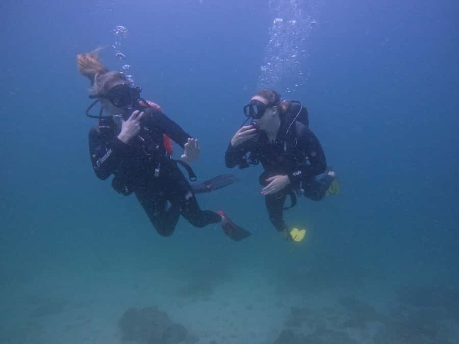 From Dubai: 2 Dives for Certified Divers with BBQ & Transfer - Two Fujairah sessions, not a rushed single stop