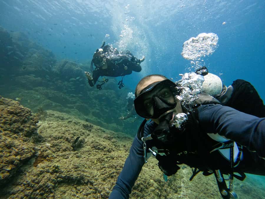 From Dubai: 2 Dives for Certified Divers with BBQ & Transfer - The 30-minute surface break