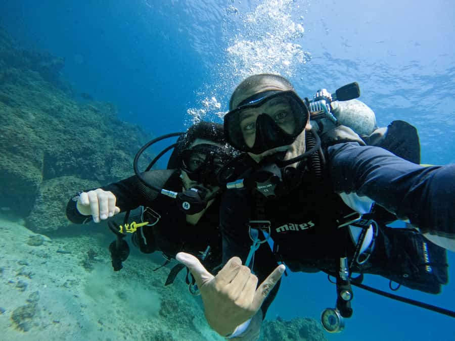 From Dubai: 2 Dives for Certified Divers with BBQ & Transfer - BBQ lunch at Reef Oasis Dive Center