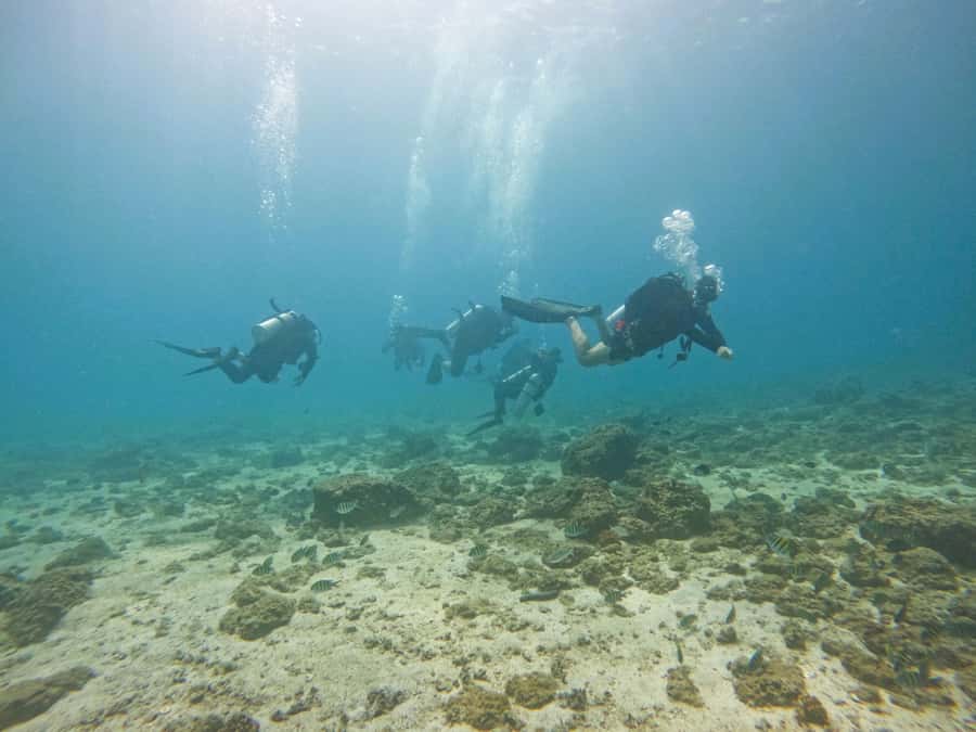 From Dubai: 2 Dives for Certified Divers with BBQ & Transfer - Three short stops on the way back