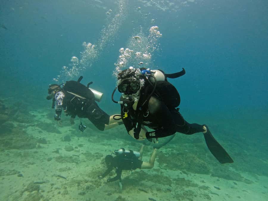 From Dubai: 2 Dives for Certified Divers with BBQ & Transfer - Is the $160 price fair?