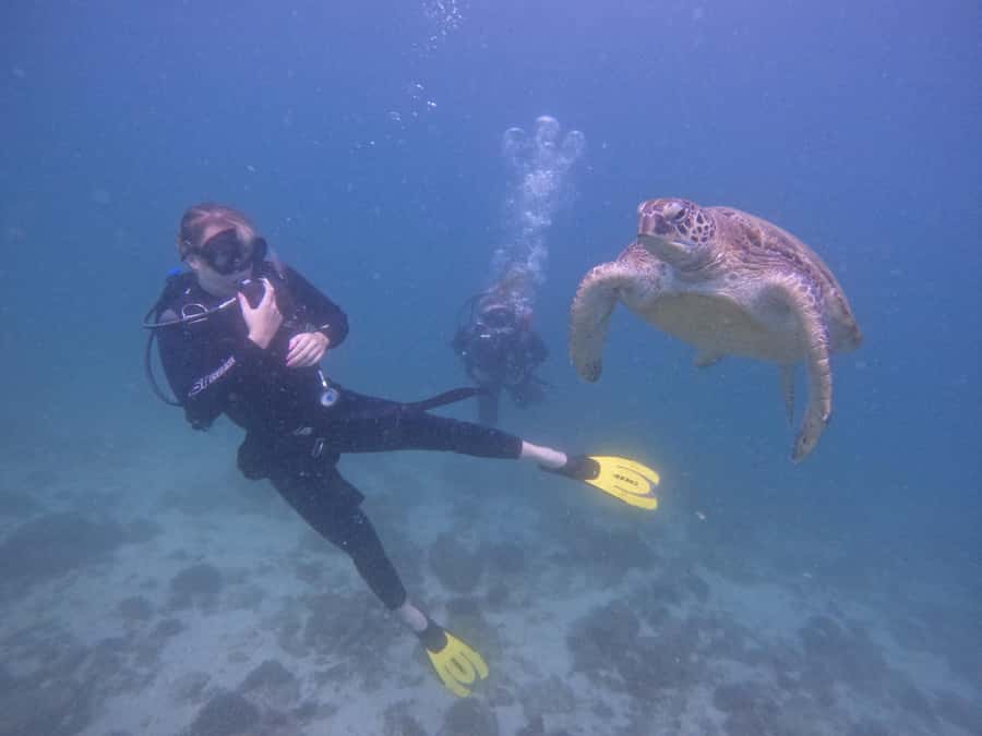 From Dubai: 2 Dives for Certified Divers with BBQ & Transfer - What the early start means for your day
