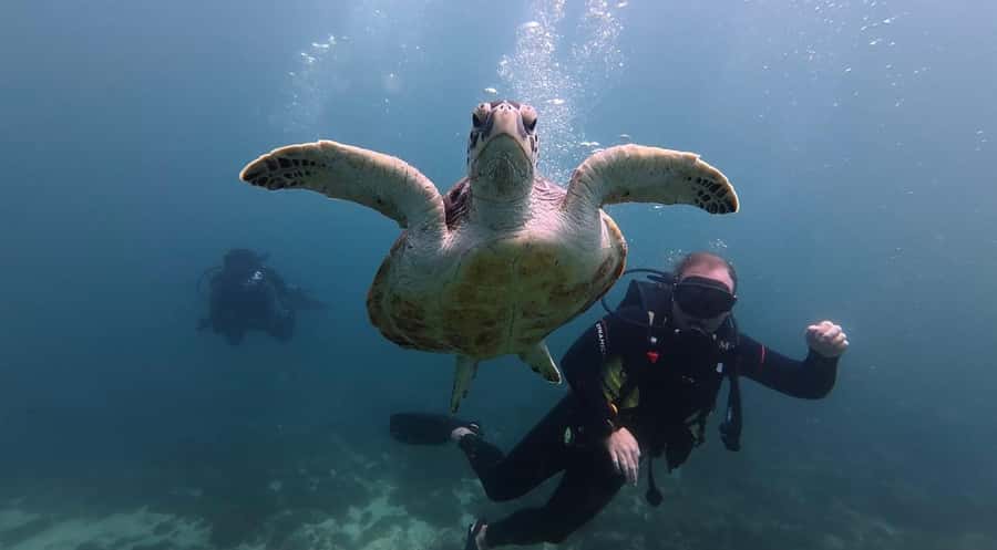 From Dubai: Discovery Scuba Diving & Snorkeling In Fujairah - Safety and comfort for nervous beginners