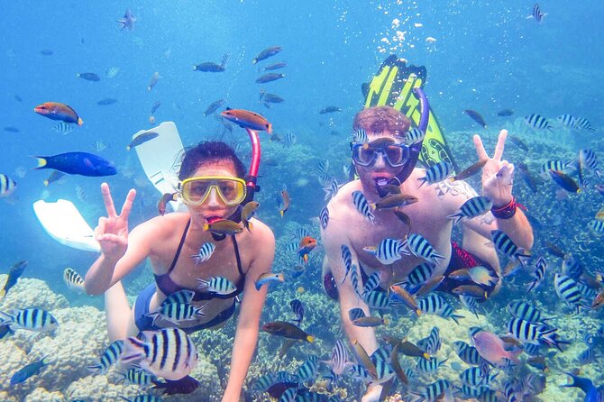 From Dubai: Discovery Scuba Diving & Snorkeling trip in Fujairah - Your first scuba session, step by step
