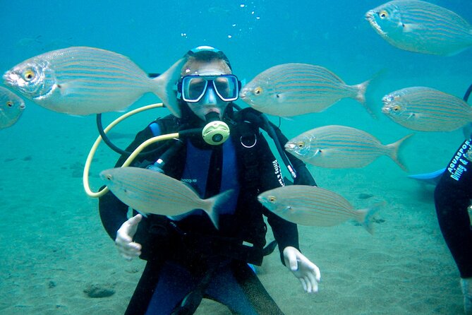 From Dubai: Discovery Scuba Diving & Snorkeling trip in Fujairah - Is $155 a fair price?