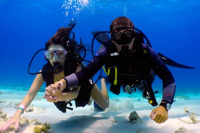 From Dubai: Discovery Scuba Diving & Snorkeling trip in Fujairah - Should you book this Fujairah outing?