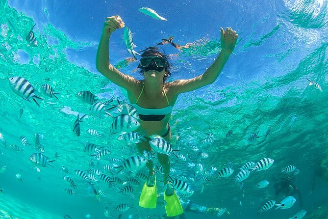 From Dubai: Discovery Scuba Diving & Snorkeling trip in Fujairah - What you might see below the surface