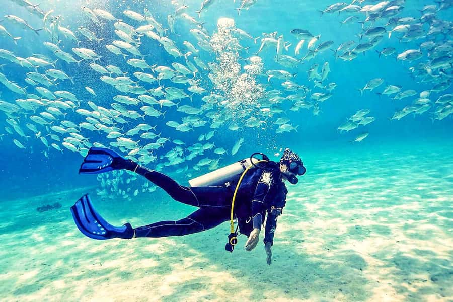 From Dubai: Fujairah Half-Day Scuba Dive and Snorkeling - Why Fujairah Makes This Worth the Early Start