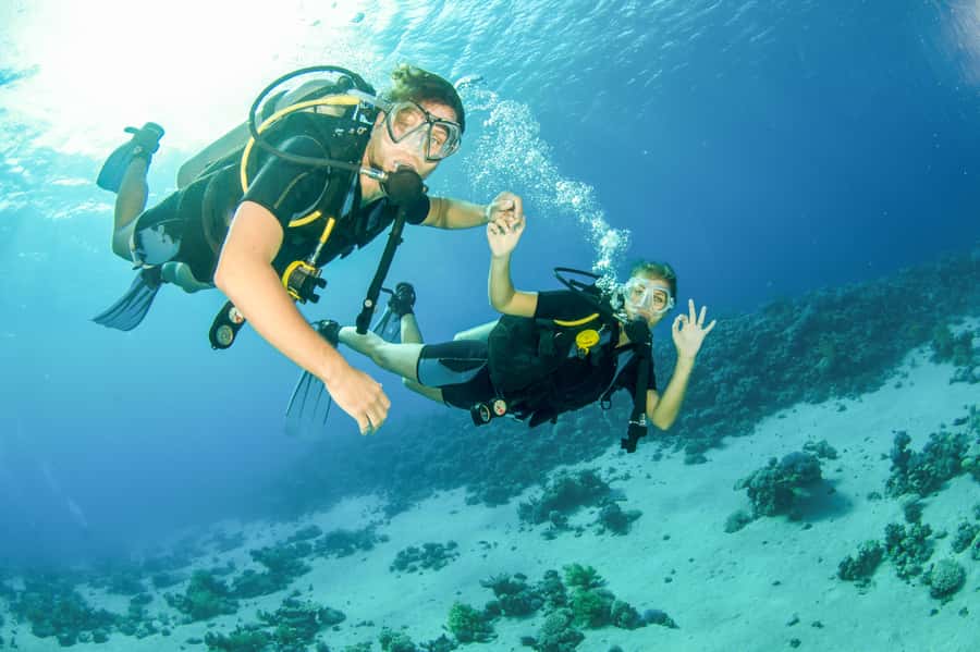 From Dubai: Fujairah Half-Day Scuba Dive and Snorkeling - Getting Equipped at the Fujairah Dive Center