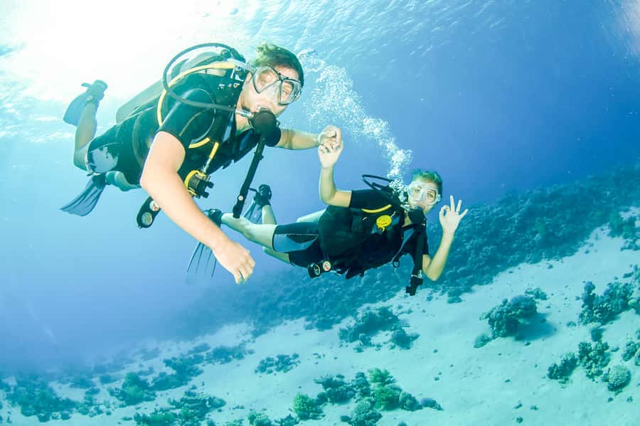 From Dubai: Fujairah Scuba Dive and Snorkeling - The first reef site and the safety briefing