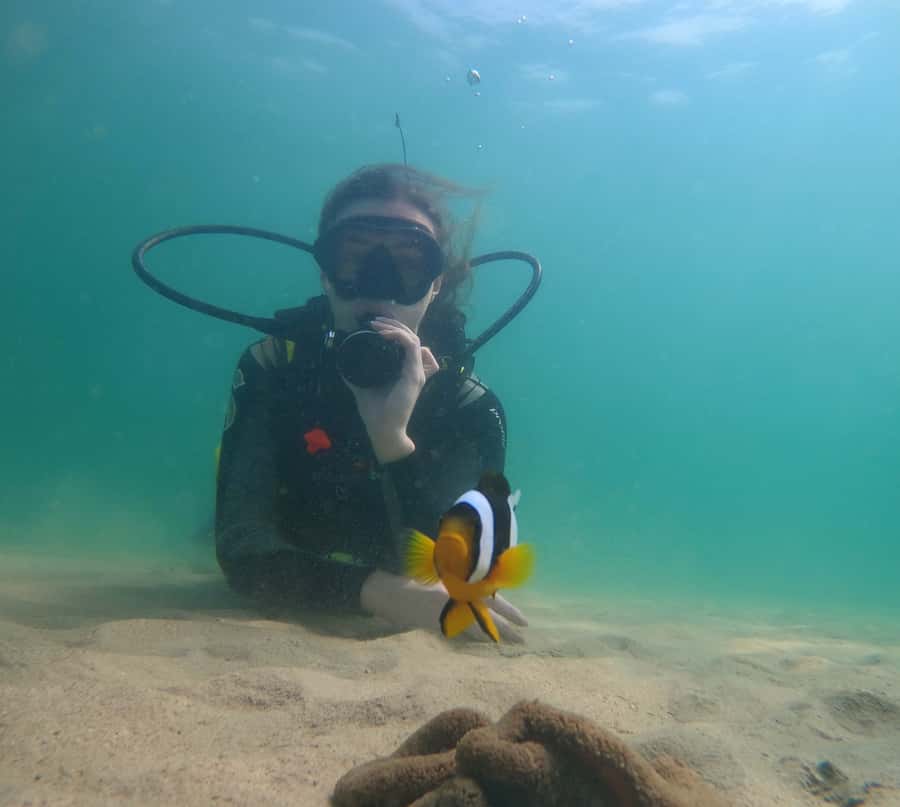 From Dubai: Fujairah Scuba Dive and Snorkeling - Two guided underwater sessions at different locations