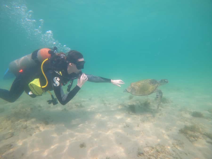 From Dubai: Fujairah Scuba Dive and Snorkeling - Price and value at $157 per person