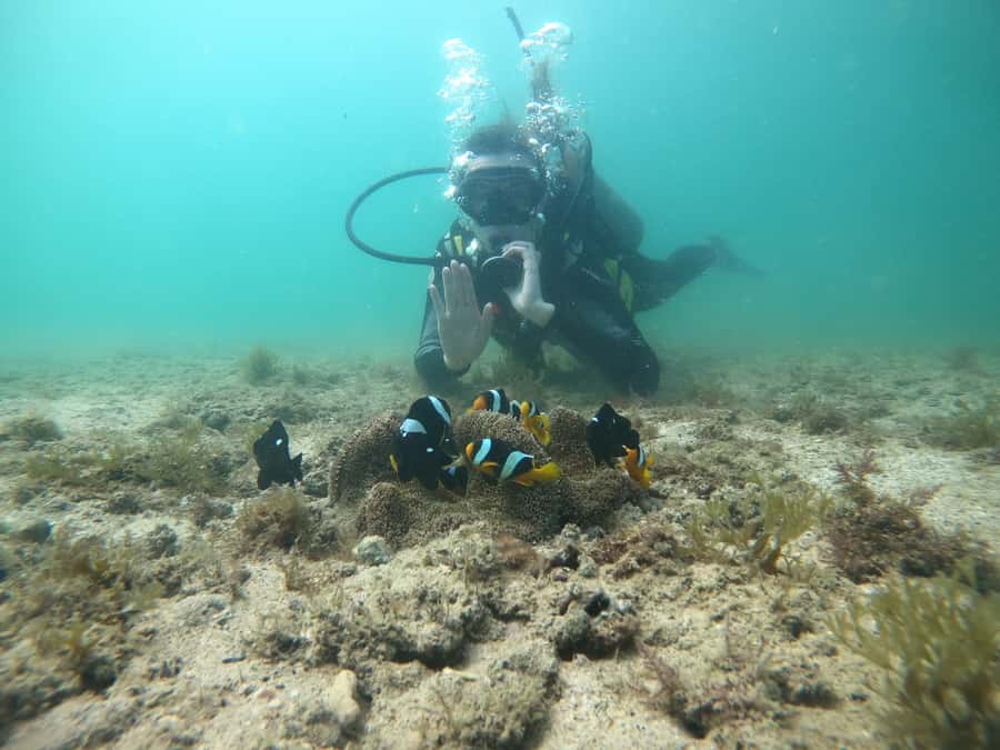 From Dubai: Fujairah Scuba Dive and Snorkeling - Booking details that can save you trouble