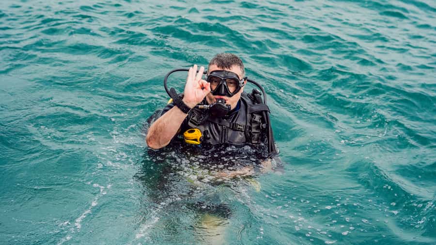From Dubai: Fujairah Scuba Dive and Snorkeling - Should you book the Fujairah scuba trip?