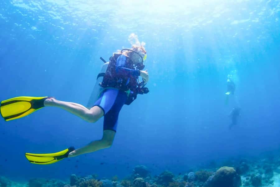 From Dubai: Fujairah Scuba Dive and Snorkeling - Cruising beneath the Hajar Mountain views