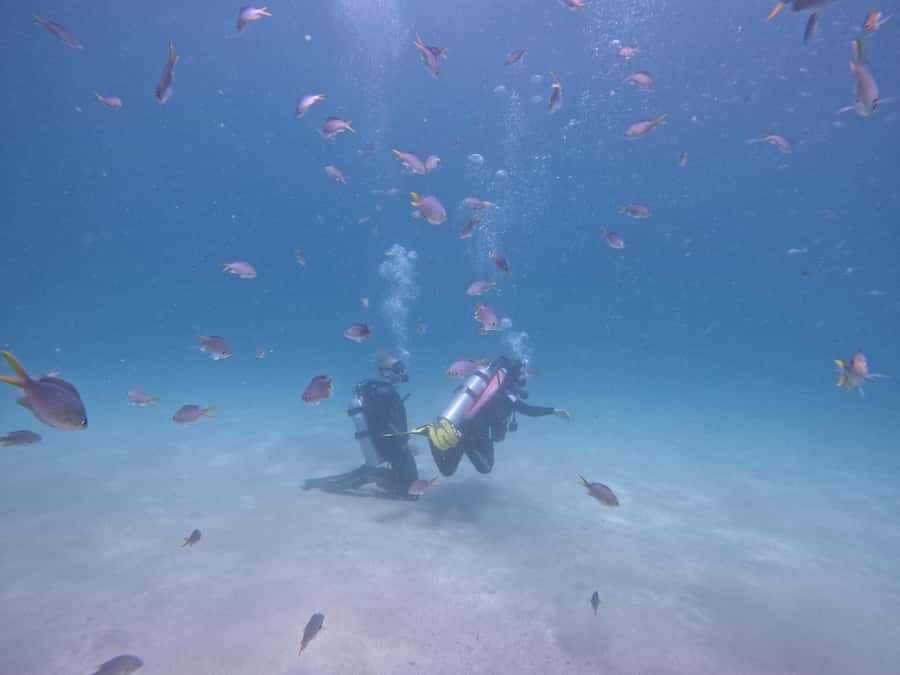 From Dubai: Try Scuba Diving, Snorkeling with BBQ & Transfer - Why Fujairah is worth the early start
