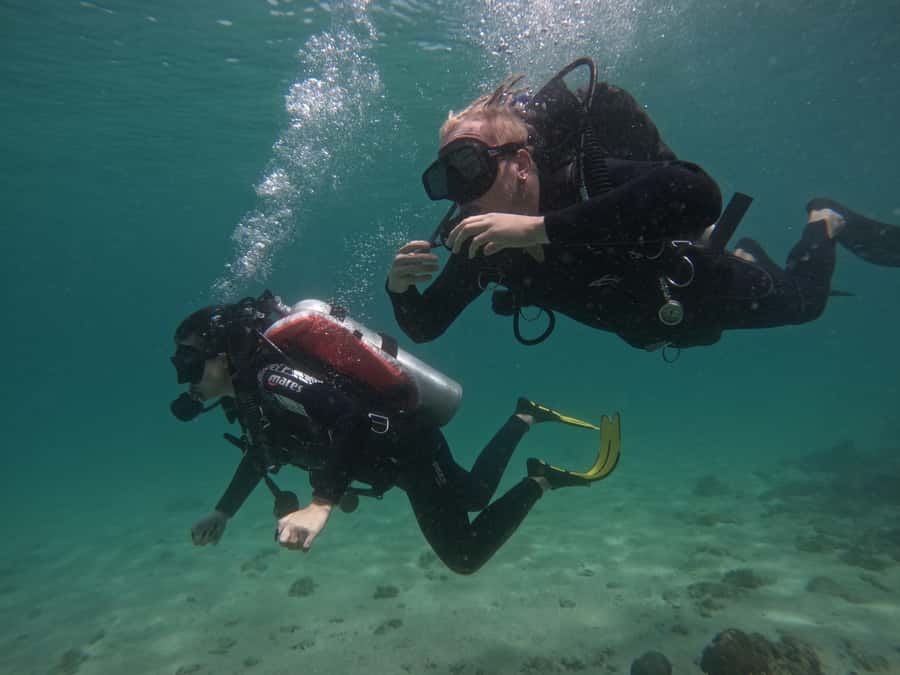From Dubai: Try Scuba Diving, Snorkeling with BBQ & Transfer - What to pack for a smoother morning