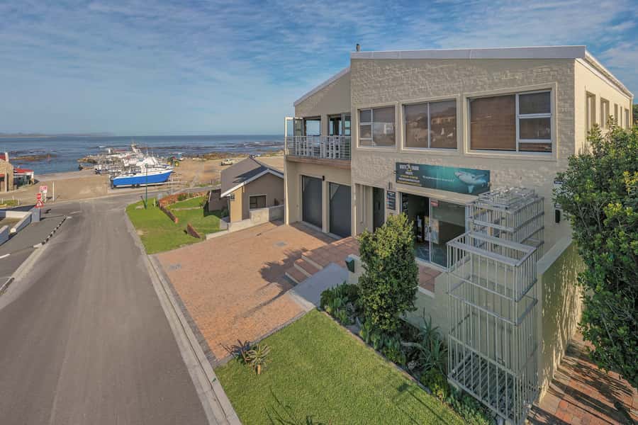 From Hermanus or Cape Town: Shark Cage Diving Experience - The real shark encounter near Gansbaai