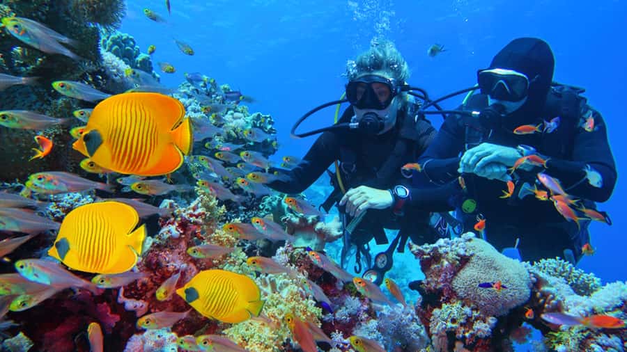 From Hurghada: Scuba Diving with Expert Guide & 2 Dives - Leaving Hurghada for the Red Sea