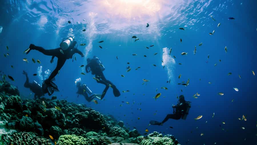 From Hurghada: Scuba Diving with Expert Guide & 2 Dives - What the two sessions may feel like
