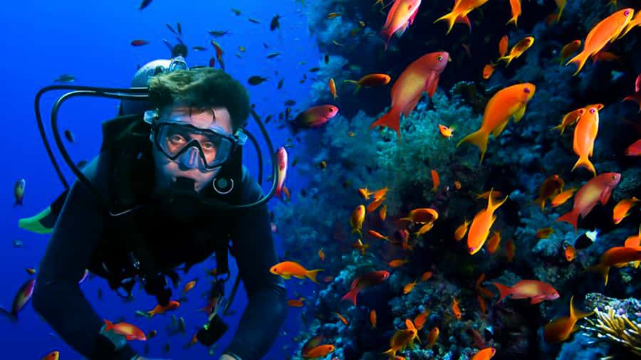 From Hurghada: Scuba Diving with Expert Guide & 2 Dives - Practical tips for a smoother day