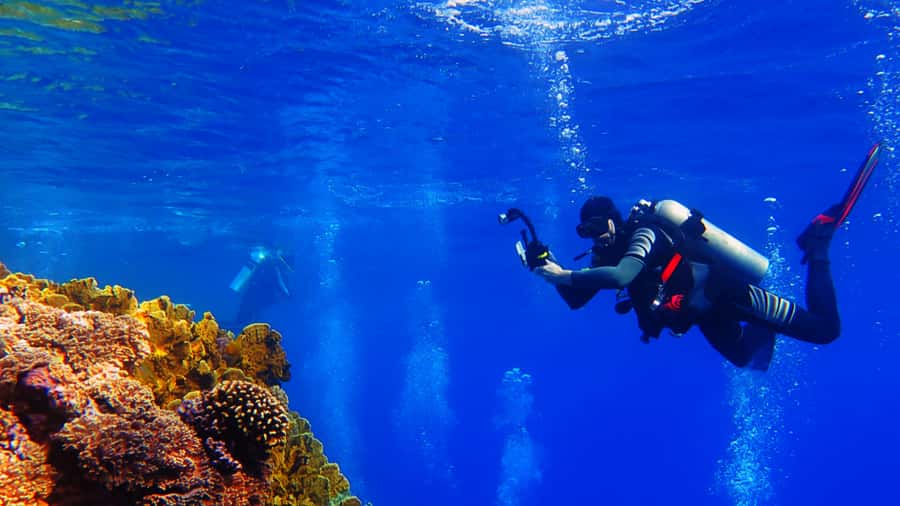 From Hurghada: Scuba Diving with Expert Guide & 2 Dives - Should you book this Red Sea outing?
