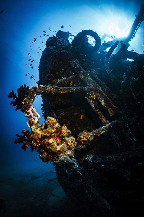 From Jeddah: Boat Trip and Diving for Certified Divers - Snacks, drinks, and the short breakfast stop