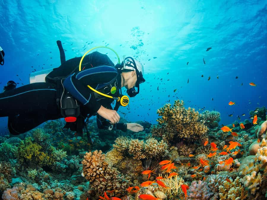 From Khasab: Diving Experience in Khasab - The speedboat ride to Musandam’s marine sites