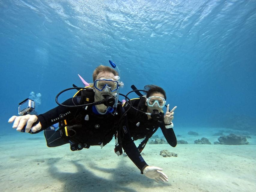 From Naha Scuba Diving Trip in Kerama(for certified divers) - Key details before you book