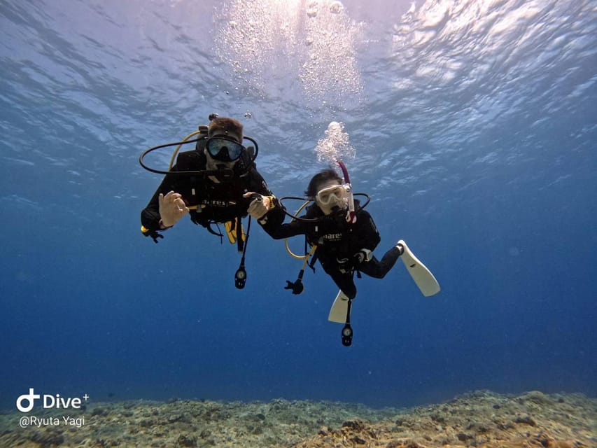 From Naha Scuba Diving Trip in Kerama(for certified divers) - Who should book this trip
