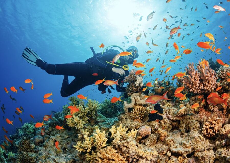 From Pattaya: Snorkeling or Beginner Scuba Diving Tour - The possible sites around Pattaya