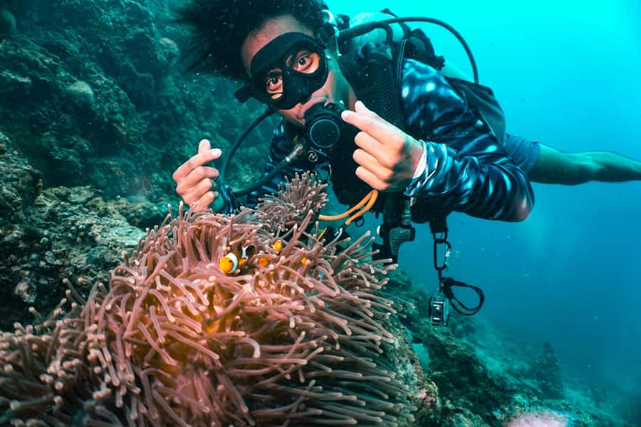 From Phi Phi: Beginner Scuba Diving Day Trip with 2 Dives - The online preparation and check-in matter