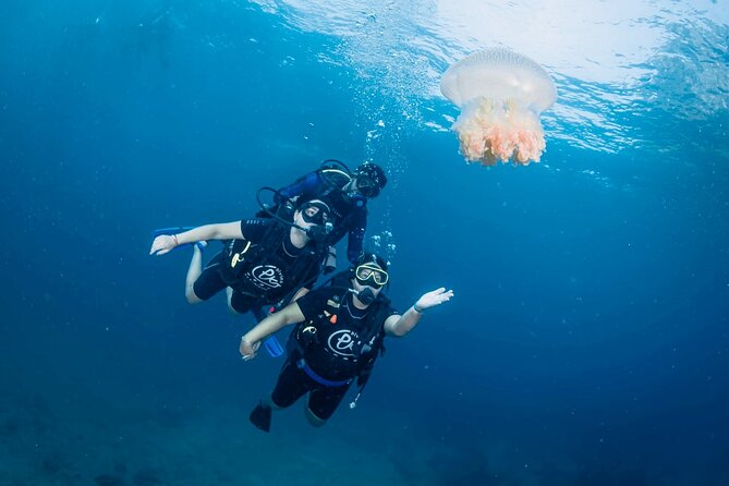 From Phi Phi Don | Half Day Discover Scuba Diving 2 Dives - Starting near Ao Tonsai Pier