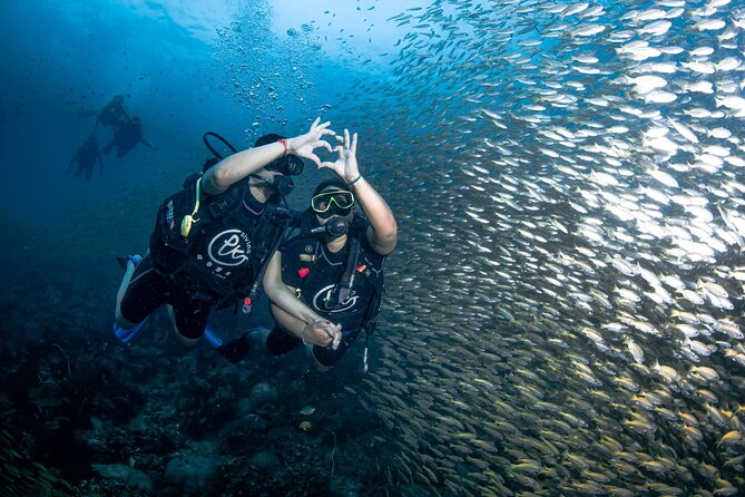 From Phi Phi Don | Half Day Discover Scuba Diving 2 Dives - Phi Phi Don, Phi Phi Lee, and Ko Bida Nok