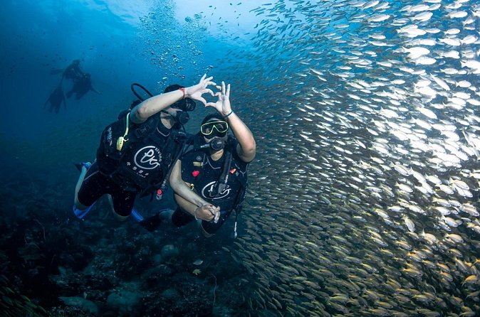 From Phi Phi Don | Half Day Discover Scuba Diving 2 Dives - A half-day schedule that fits island plans