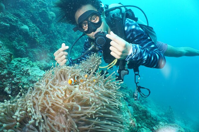 From Phi Phi: Half Day Discover Scuba (2 Dives) - What your price includes, and where the extra costs appear
