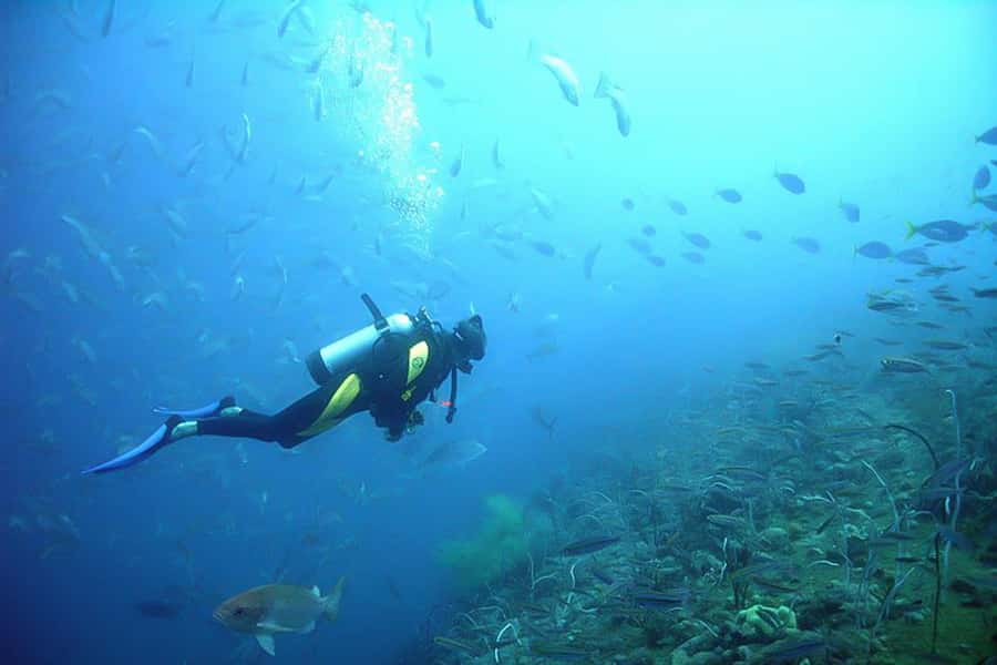 From Phuket: 3-Day SSI/PADI Open Water Diver Certification - FAQ
