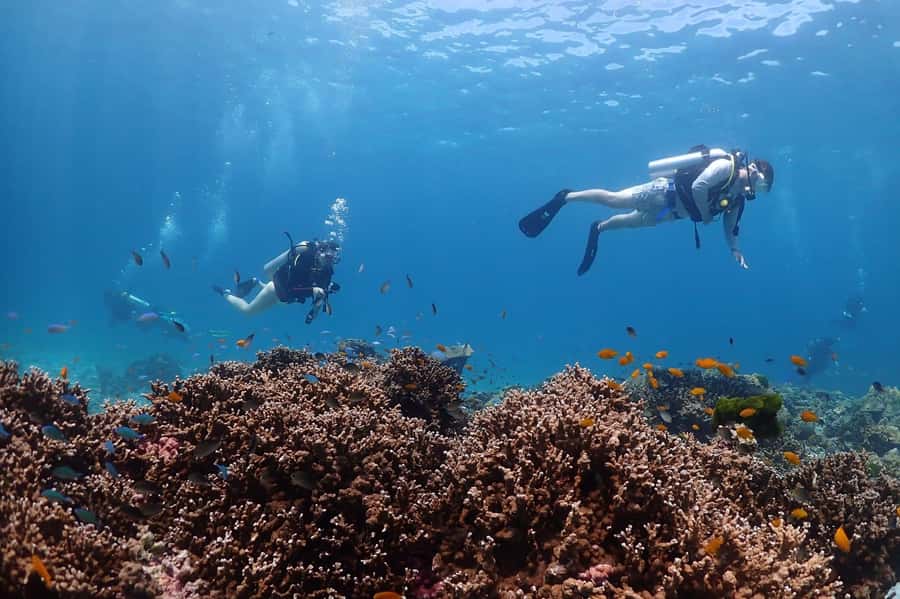 From Phuket: 3-Day SSI/PADI Open Water Diver Certification - Day one in Chalong: theory and pool skills