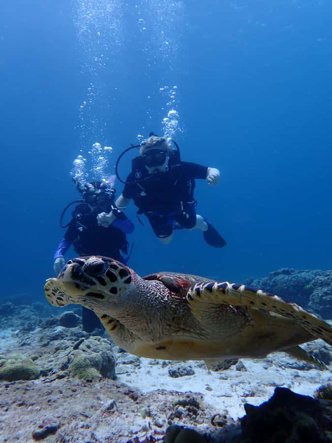 From Phuket: 3-Day SSI/PADI Open Water Diver Certification - Day three at Racha Noi: three more sessions