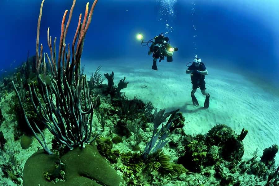 From Phuket: 3-Day SSI/PADI Open Water Diver Certification - What you should bring and how to plan
