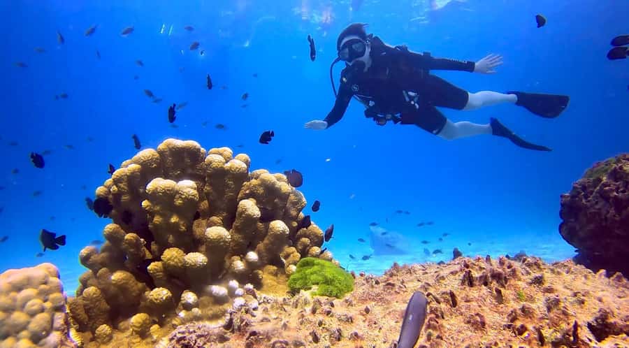 From Phuket: 3-Day SSI/PADI Open Water Diver Certification - Day two at Racha Yai: your first sea sessions
