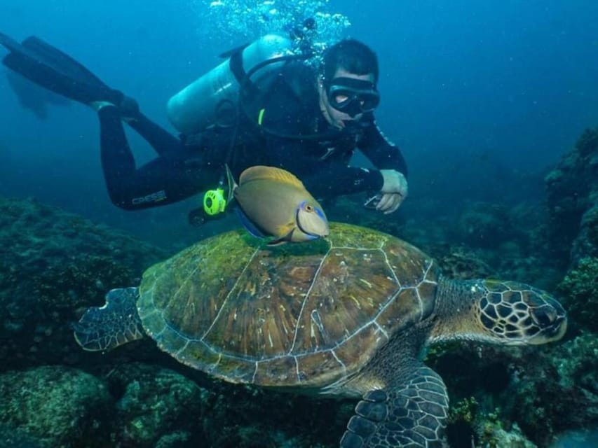 from Rio de Janeiro: Diving in Buzios - The return to Rio and the real end time