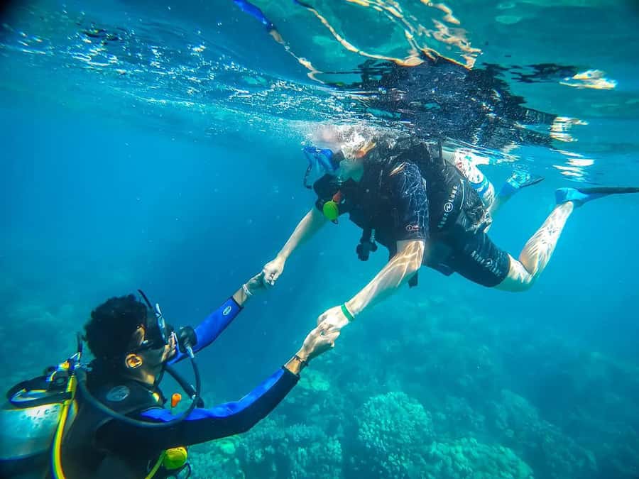 From Sharm: Luxury Diving cruise to Ras Mohammed with Lunch - The 90-minute surface break