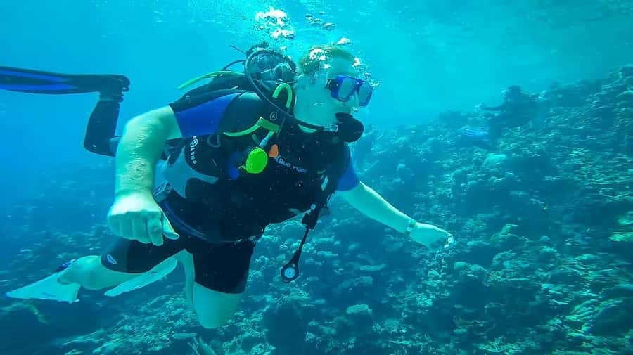 From Sharm: Luxury Diving cruise to Ras Mohammed with Lunch - The second stop and what two sessions add
