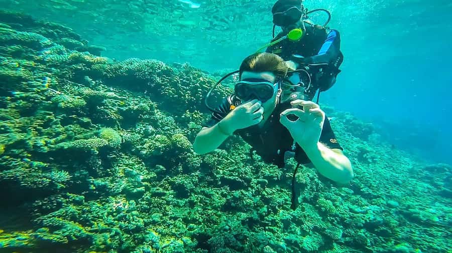 From Sharm: Luxury Diving cruise to Ras Mohammed with Lunch - Lunch on the boat