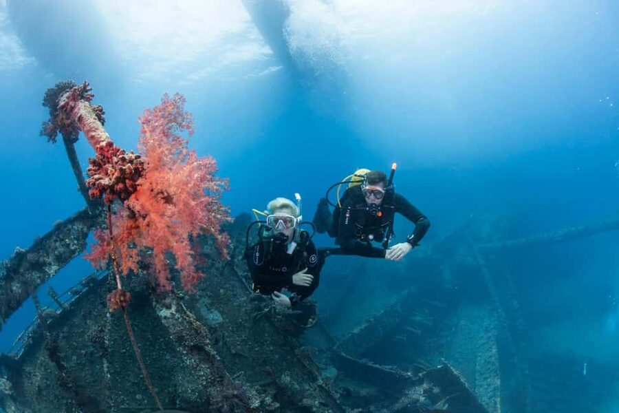 From Sharm or Dahab: Blue Hole & Canyon Sea Dive Experience - Should you book the Blue Hole and Canyon trip?